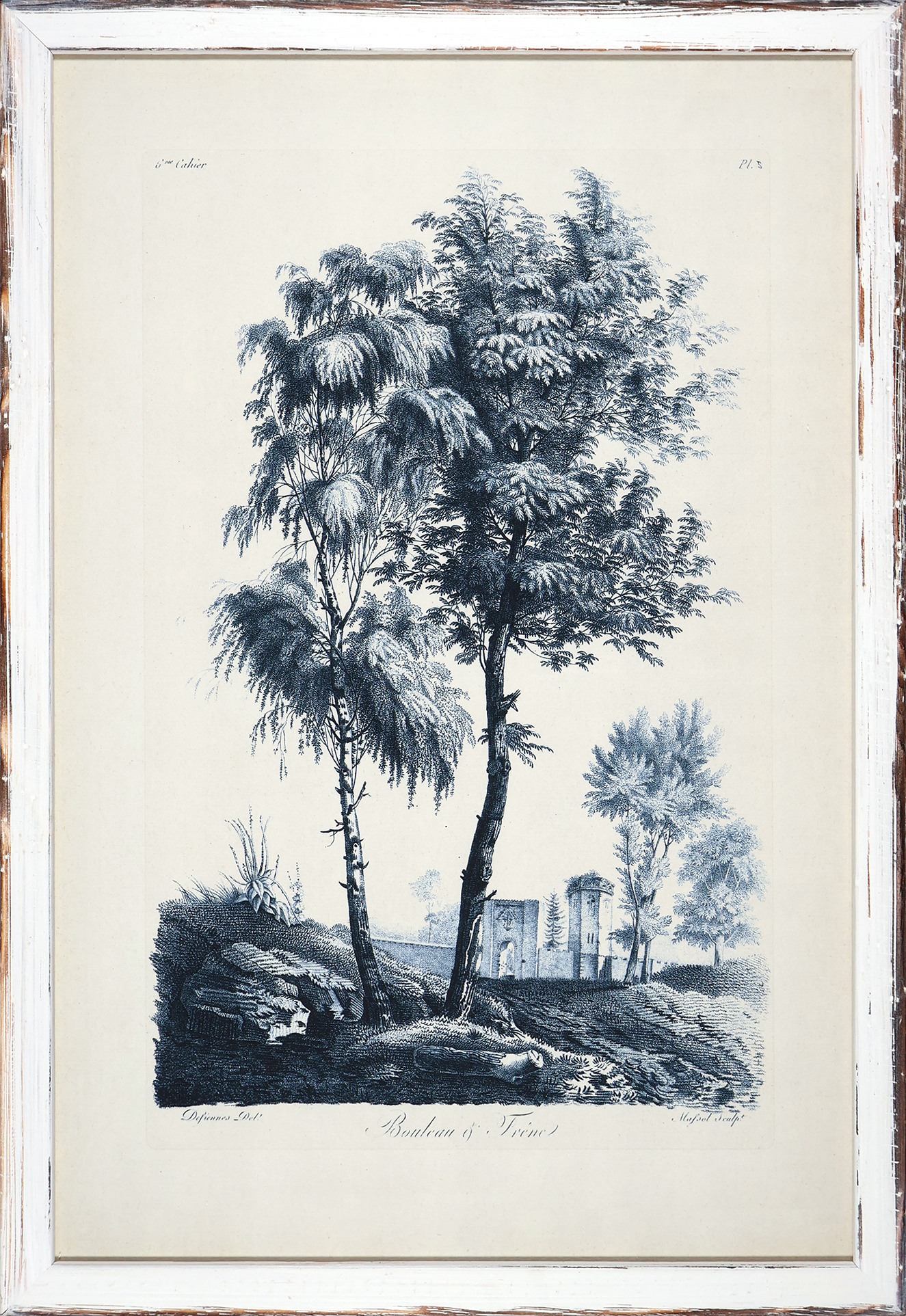 Blue Trees in Distressed White